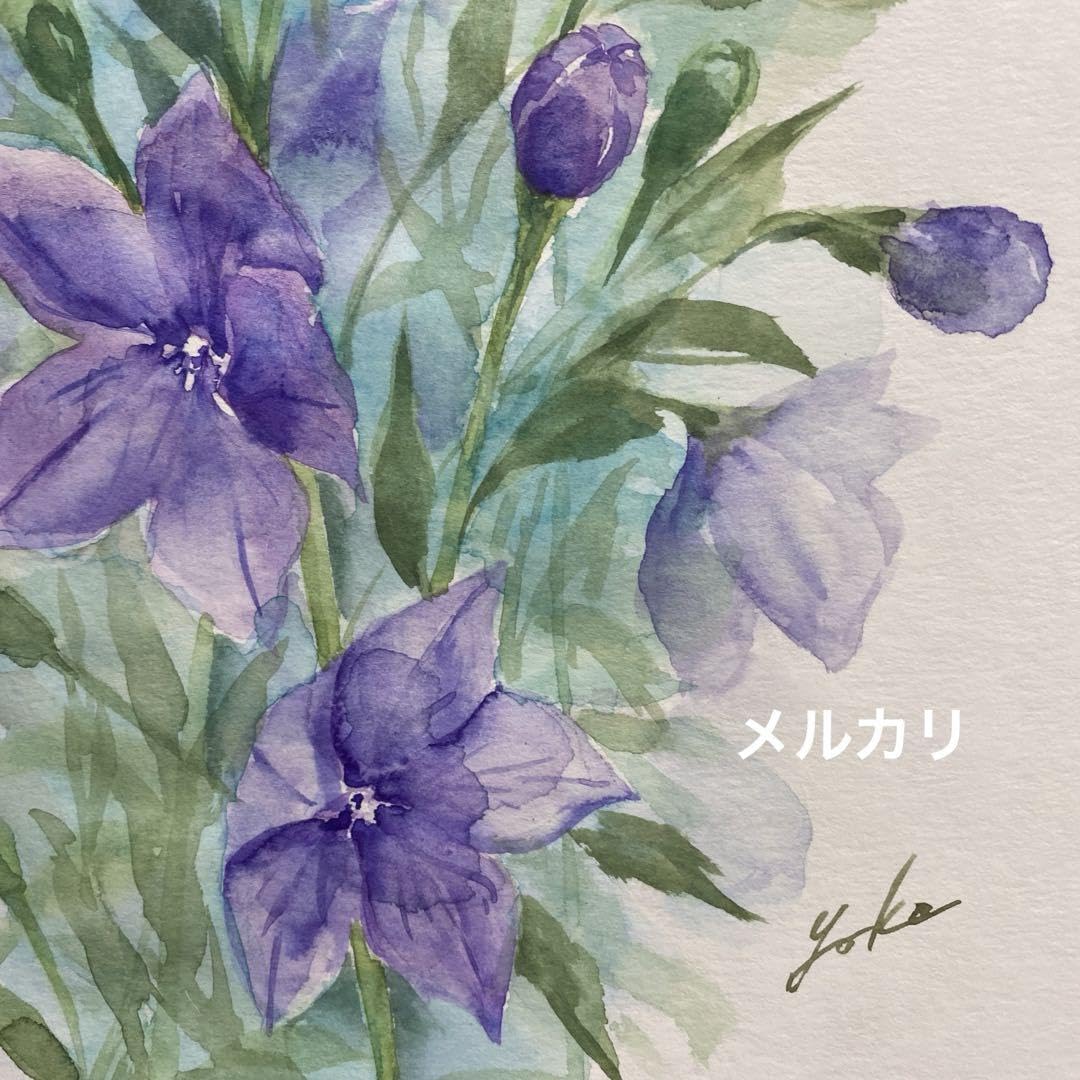 田中一村作　水彩画「桔梗」 Amazon | 桔梗 水彩画 原画 | 絵具 通販